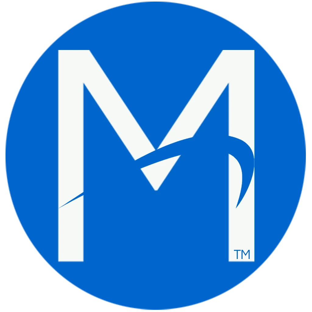 The Meaningful Project